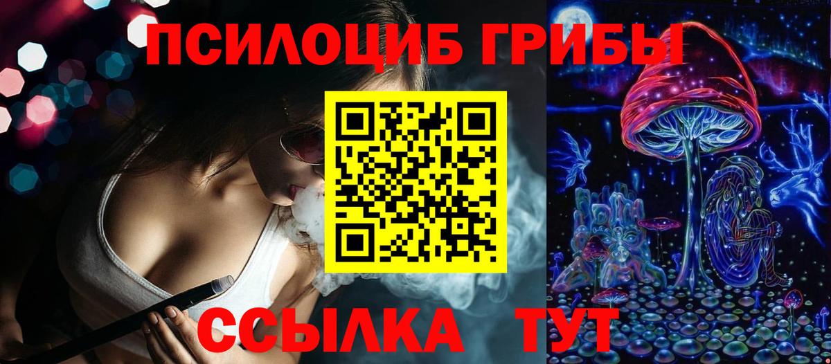 Псилоцибиновые грибы Cubensis Ленинск-Кузнецкий