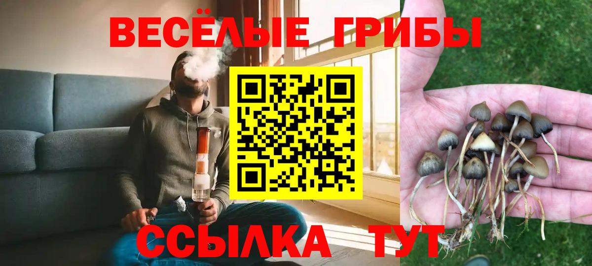 Ленинск-Кузнецкий  купить   Вход с VPN  Псилоцибиновые грибы GOLDEN TEACHER  Галлюциногенные грибы Psilocybe 