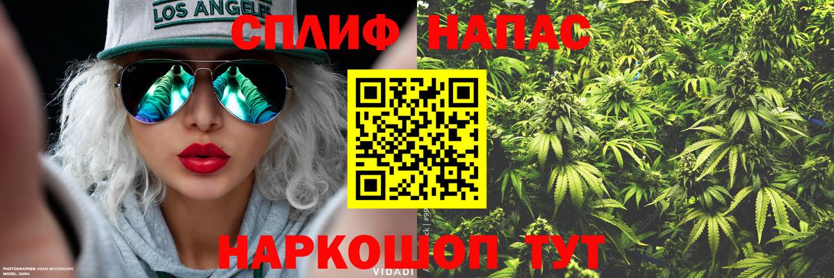 Шишки марихуана Ganja  Бошки марихуана тримм  Вход с VPN  Бошки марихуана AK-47  Ленинск-Кузнецкий 